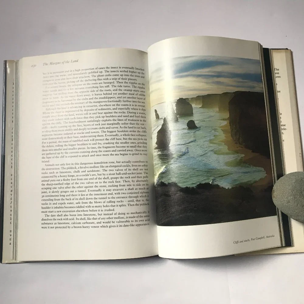 The Living Planet, Inspiration for the PBS TV Series by David Attenborough